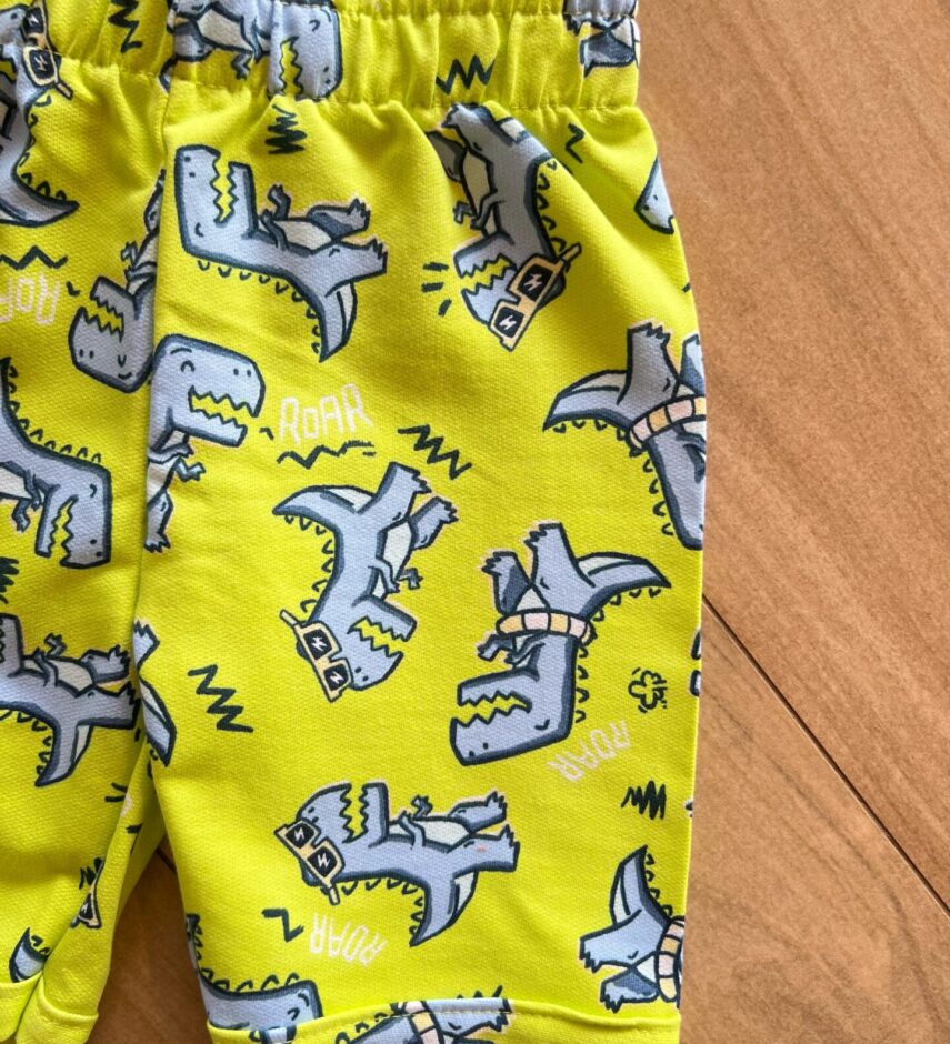fernandaramoskids com br Conjunto Infantil Masculino Camiseta Tem um Dino na Cidade e Bermuda2
