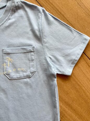 fernandaramoskids com br Conjunto Masculino Camiseta Azul Bebê e Bermuda Listrada 1