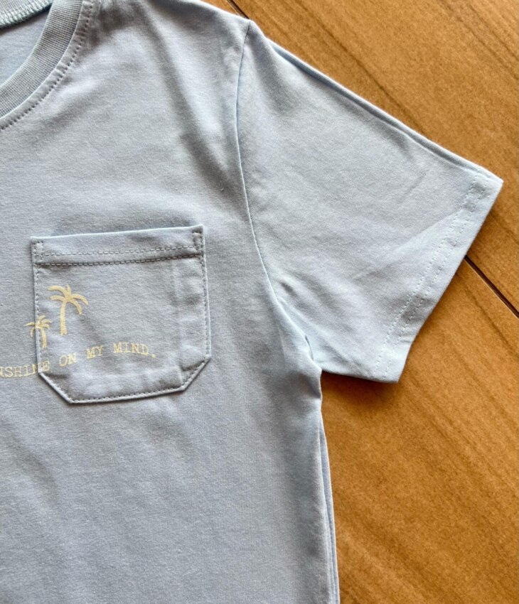 fernandaramoskids com br Conjunto Masculino Camiseta Azul Bebê e Bermuda Listrada 1