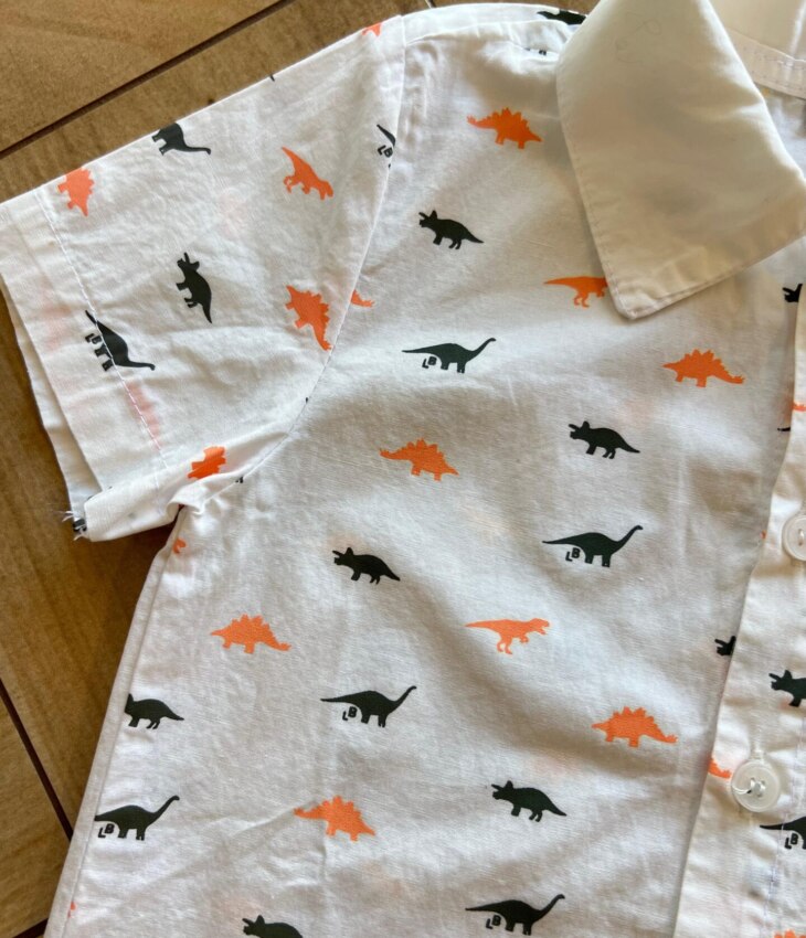 fernandaramoskids com br Conjunto Masculino Camiseta Dino e Bermuda Verde Musgo 1