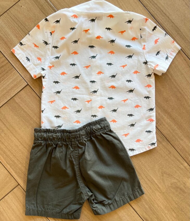 fernandaramoskids com br Conjunto Masculino Camiseta Dino e Bermuda Verde Musgo 3