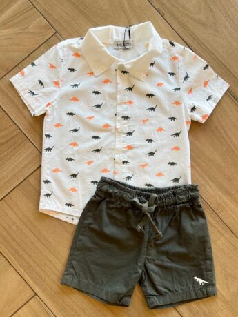 Conjunto Masculino Camiseta Dino e Bermuda Verde Musgo Fernanda ramos kids