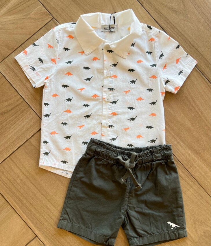 Conjunto Masculino Camiseta Dino e Bermuda Verde Musgo Fernanda ramos kids