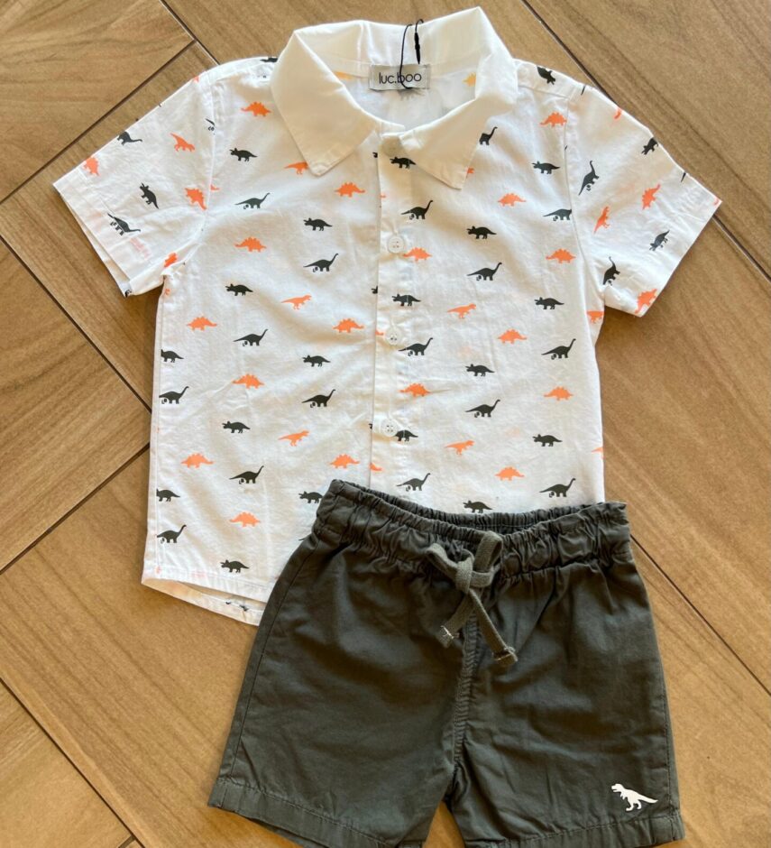 Conjunto Masculino Camiseta Dino e Bermuda Verde Musgo Fernanda ramos kids