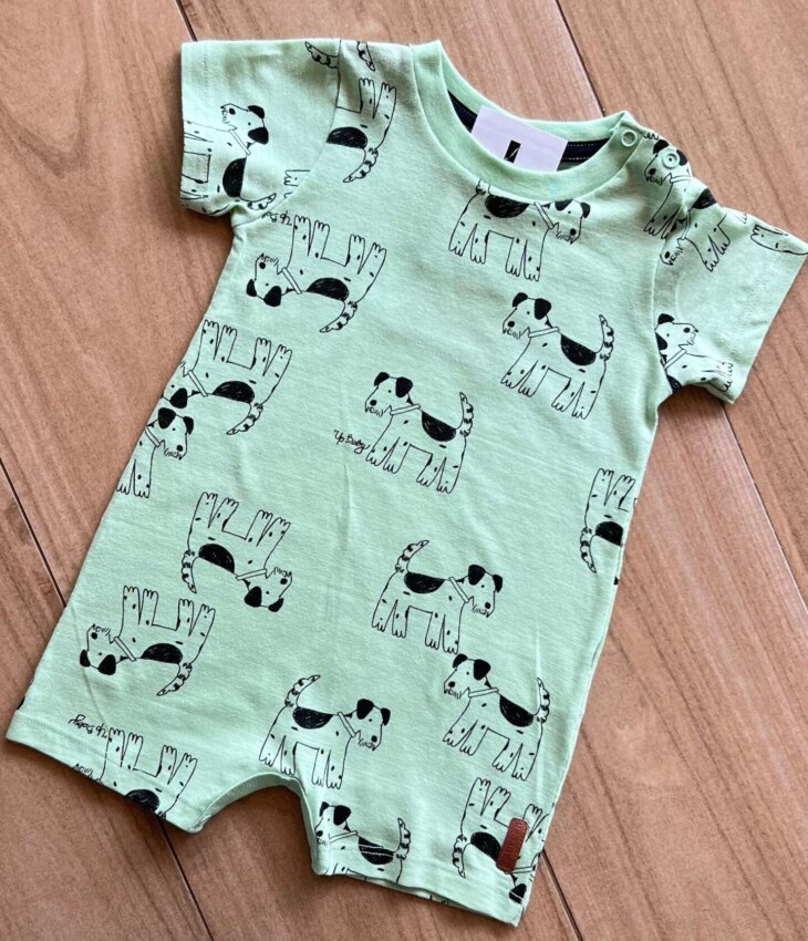 fernandaramoskids com br Macaquinho Infantil Masculino Manga Curta Dog Verde 1