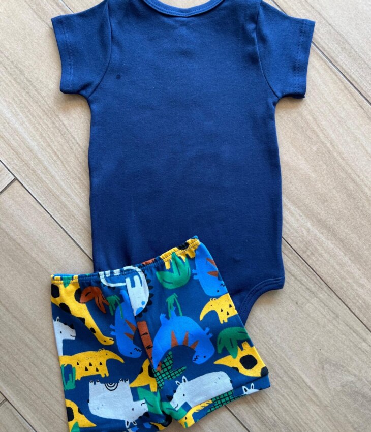 fernandaramoskids com br Short Infantil Masculina Estampado Dinossauro Azul2