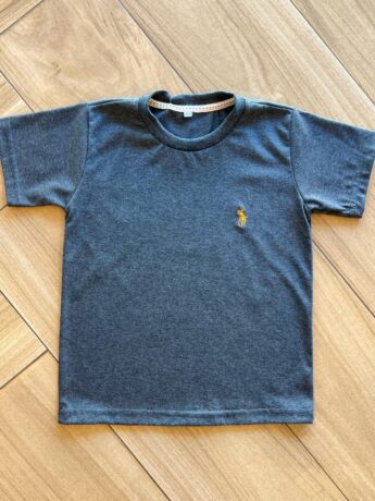 Camiseta Infantil Masculina Manga Curta Básica Cinza Escuro Fernanda Ramos Kids