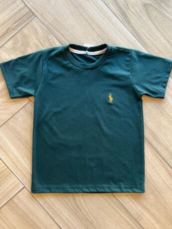 Camiseta Infantil Masculina Manga Curta Básica Verde Militar Fernanda Ramos Kids