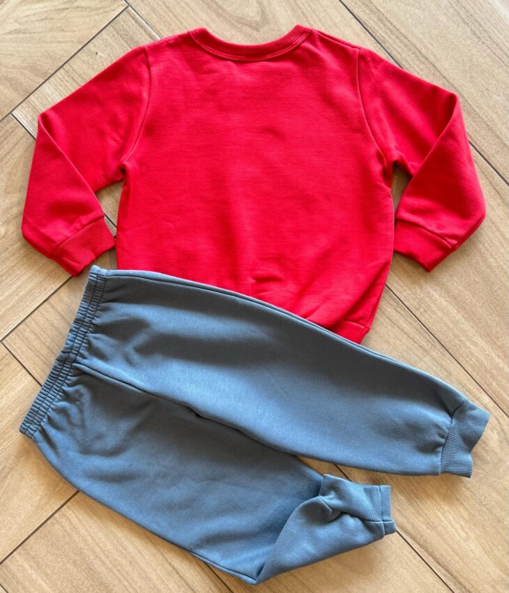 Conjunto Infantil Masculino Blusão Dinossauros e Calça Azul Fernanda Ramos Kids