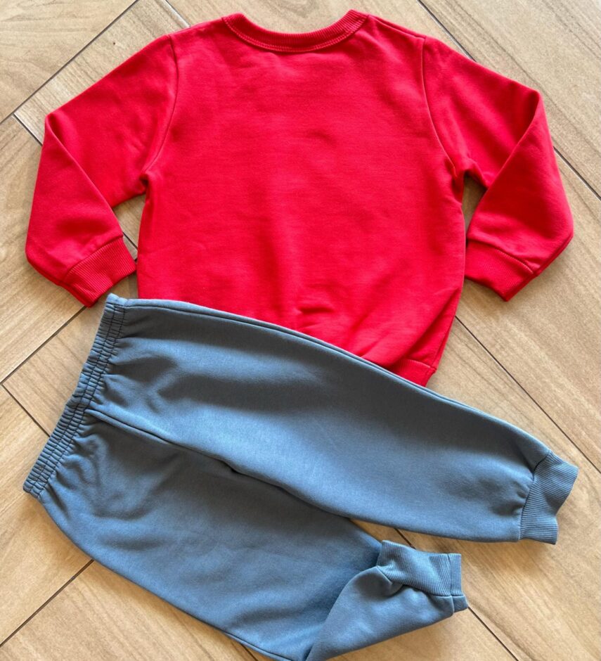 Conjunto Infantil Masculino Blusão Dinossauros e Calça Azul Fernanda Ramos Kids