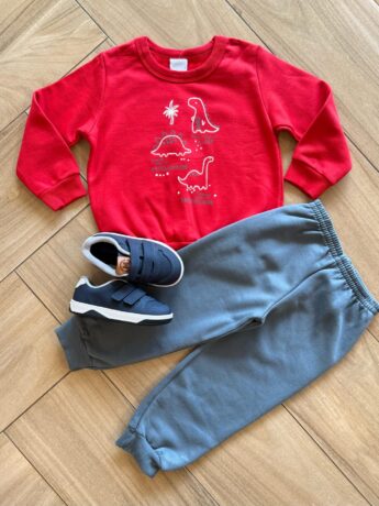 Conjunto Infantil Masculino Blusão Dinossauros e Calça Azul Fernanda Ramos Kids