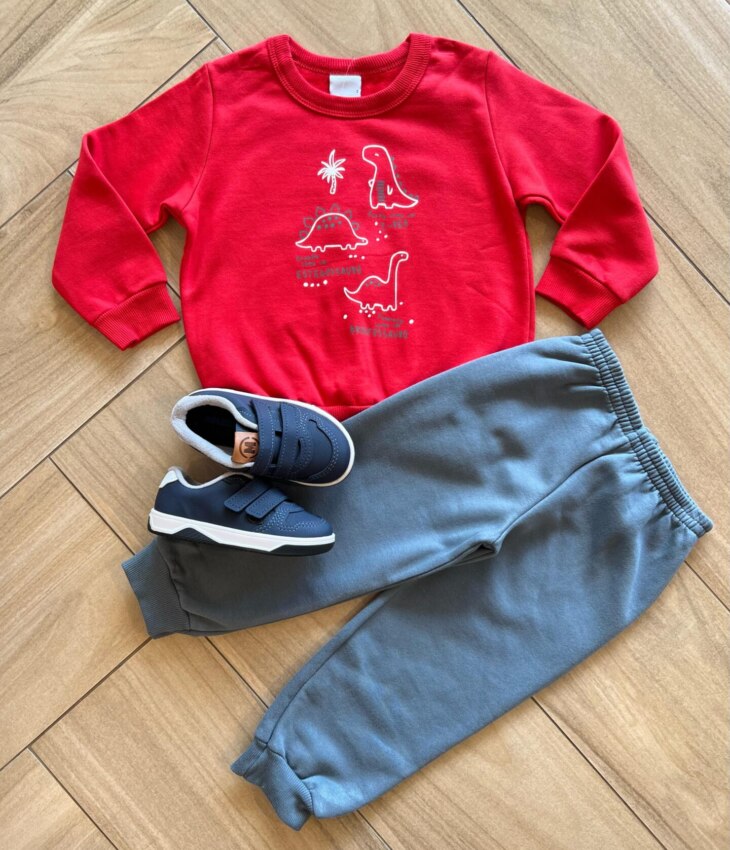 Conjunto Infantil Masculino Blusão Dinossauros e Calça Azul Fernanda Ramos Kids