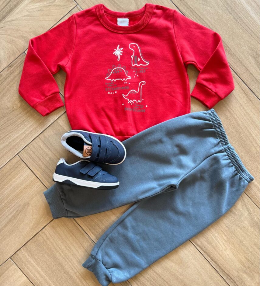 Conjunto Infantil Masculino Blusão Dinossauros e Calça Azul Fernanda Ramos Kids
