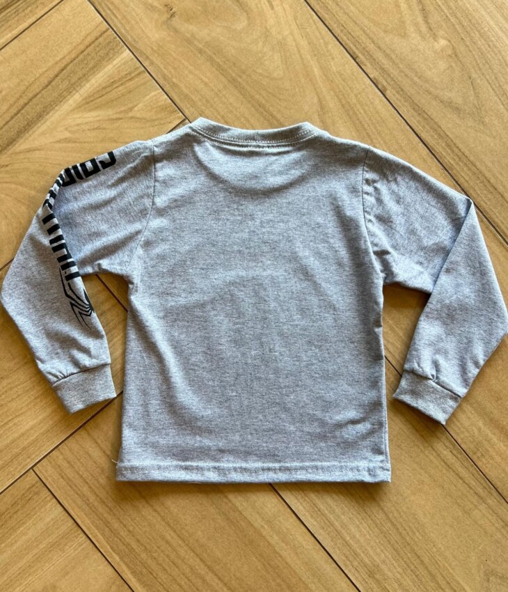 fernandaramoskids com br Camiseta Infantil Masculina Manga Longa Homem Aranha Cinza2