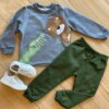 Conjunto Infantil Masculino Blusão Wild Friends e Calça Jogger Verde Fernanda Ramos Kids