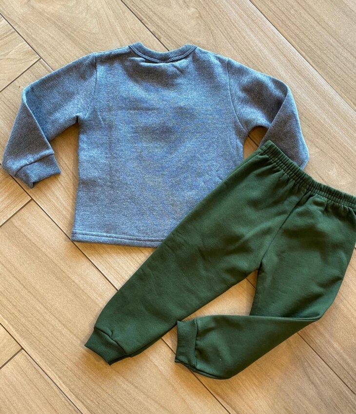 fernandaramoskids com br Conjunto Infantil Masculino Blusão Wild Friends e Calça Jogger Verde2