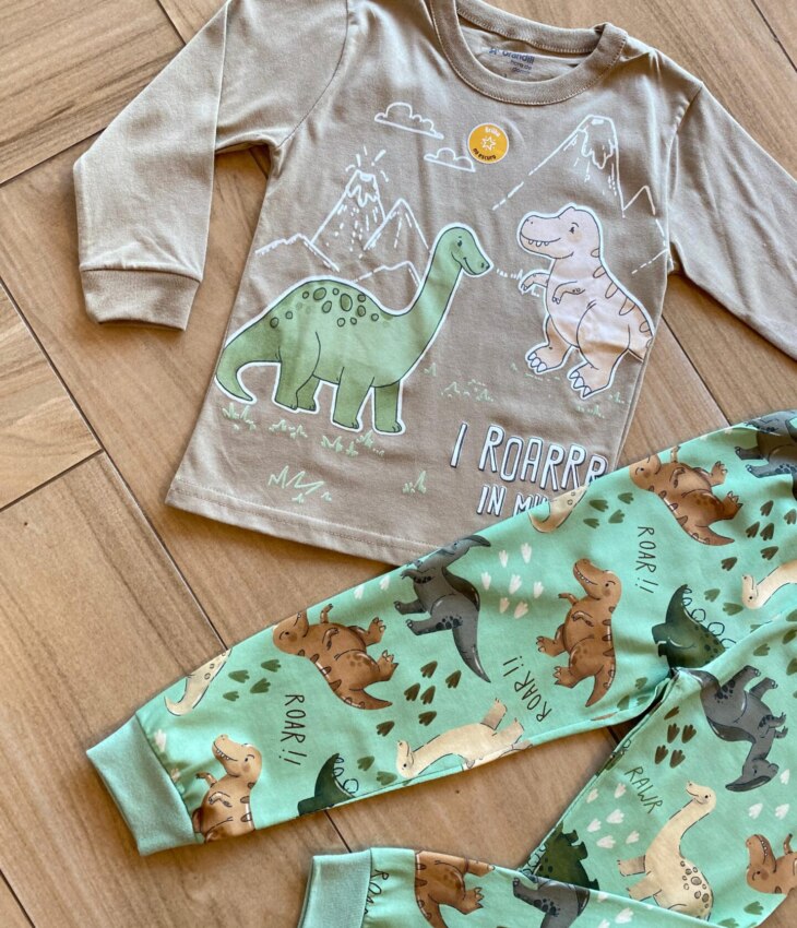fernandaramoskids com br Pijama Infantil Masculino Blusa Manga Longa e Calça Dinossauros1