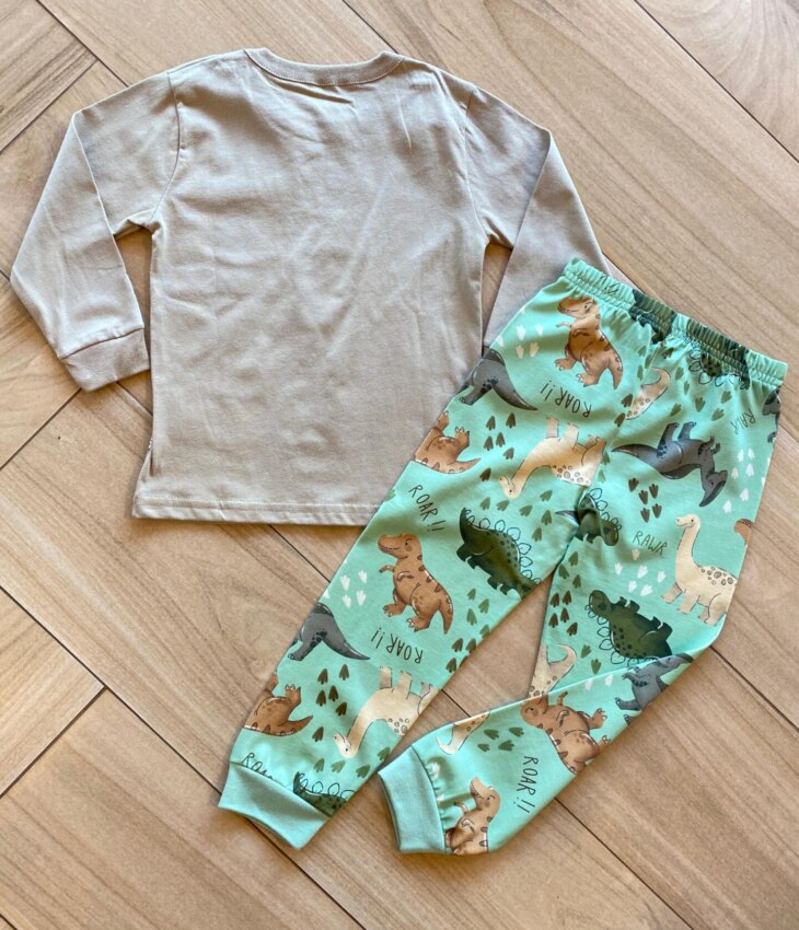 fernandaramoskids com br Pijama Infantil Masculino Blusa Manga Longa e Calça Dinossauros2