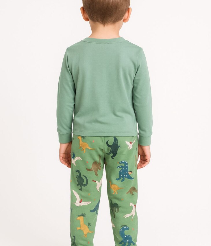 Pijama Infantil Masculino Blusa Manga Longa e Calça Dinossauro Fernada Ramos Kids