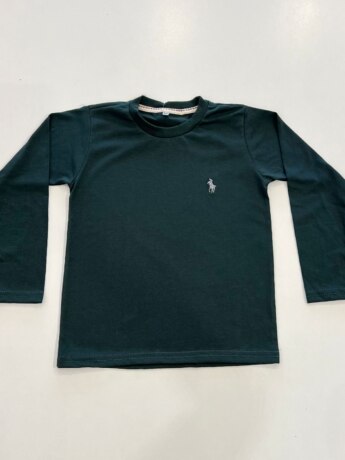 Camiseta Infantil Masculina Básica Manga Longa Verde Fernanda Ramos Kids